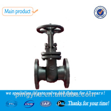 double disc cast iron gate valve 30ch6br price grey iron gate valve